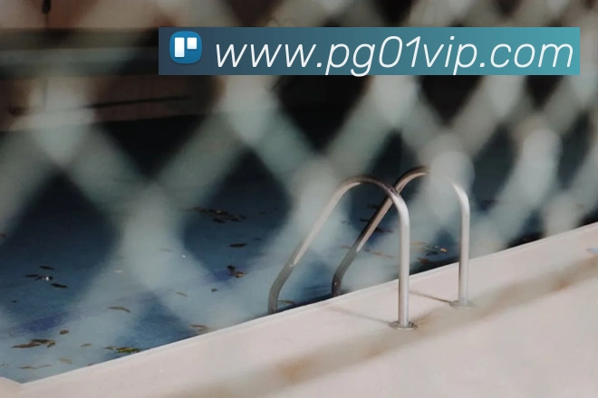 pg电子官网服务体系